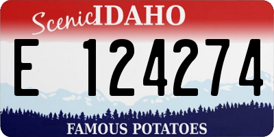 ID license plate E124274