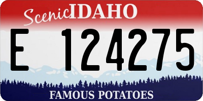 ID license plate E124275