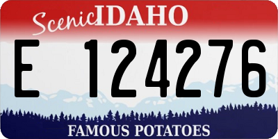 ID license plate E124276