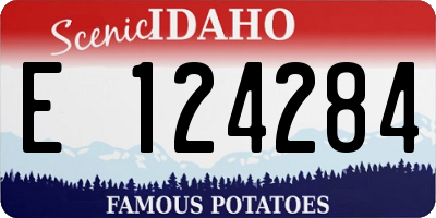 ID license plate E124284