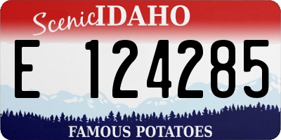 ID license plate E124285