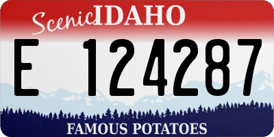 ID license plate E124287