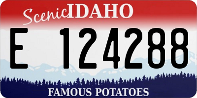 ID license plate E124288