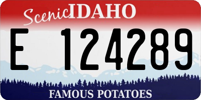 ID license plate E124289