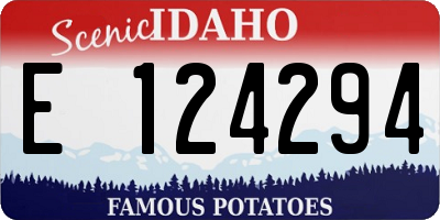 ID license plate E124294