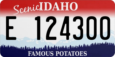 ID license plate E124300