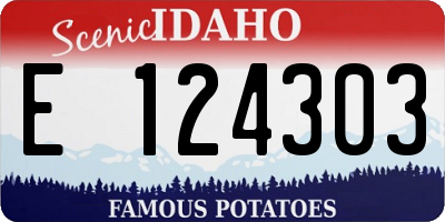 ID license plate E124303