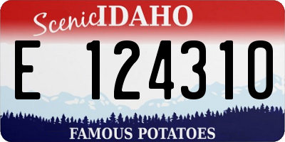 ID license plate E124310