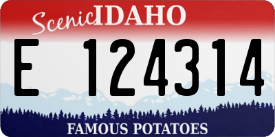 ID license plate E124314