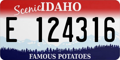 ID license plate E124316