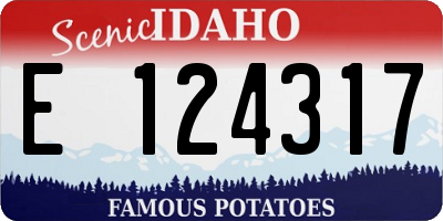 ID license plate E124317