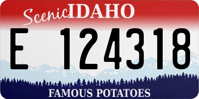 ID license plate E124318