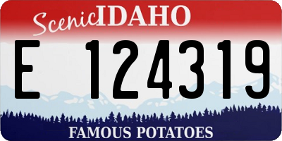 ID license plate E124319