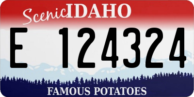 ID license plate E124324