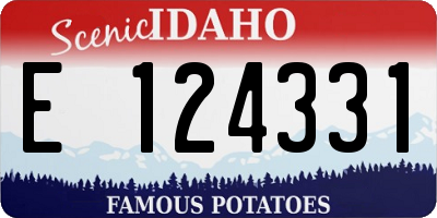 ID license plate E124331