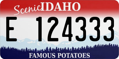 ID license plate E124333