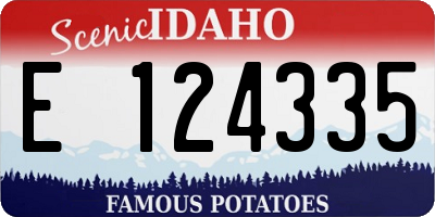 ID license plate E124335