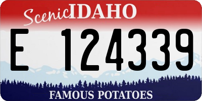 ID license plate E124339