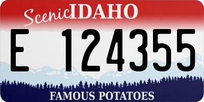 ID license plate E124355