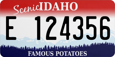 ID license plate E124356