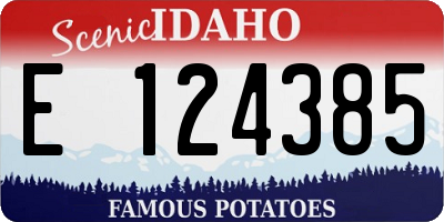 ID license plate E124385