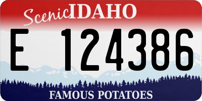 ID license plate E124386