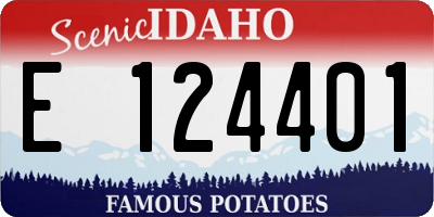 ID license plate E124401