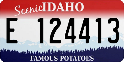 ID license plate E124413