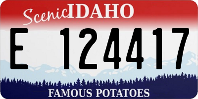 ID license plate E124417