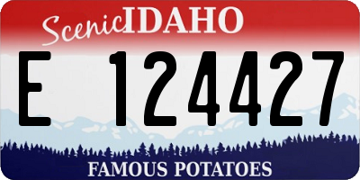 ID license plate E124427