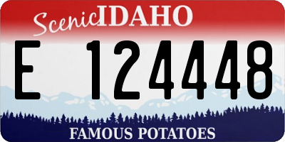 ID license plate E124448