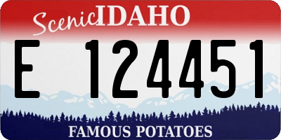 ID license plate E124451