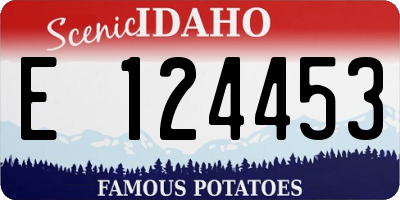 ID license plate E124453