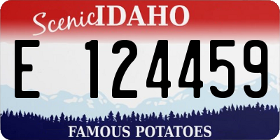 ID license plate E124459