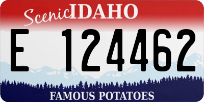 ID license plate E124462