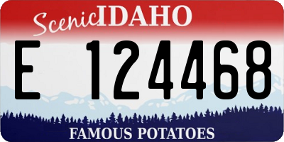 ID license plate E124468