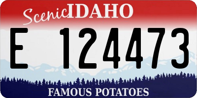ID license plate E124473