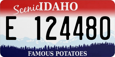 ID license plate E124480