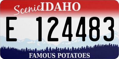 ID license plate E124483