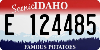 ID license plate E124485