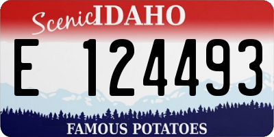 ID license plate E124493