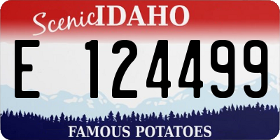 ID license plate E124499
