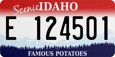 ID license plate E124501