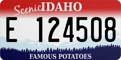 ID license plate E124508