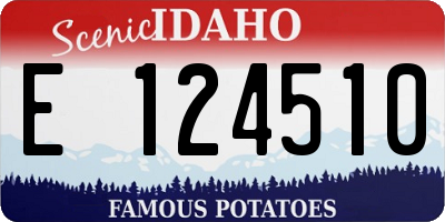 ID license plate E124510