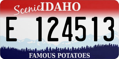 ID license plate E124513