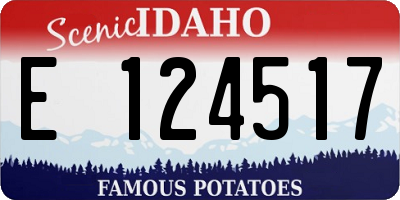 ID license plate E124517