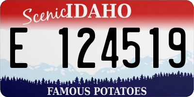 ID license plate E124519