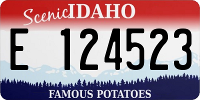 ID license plate E124523