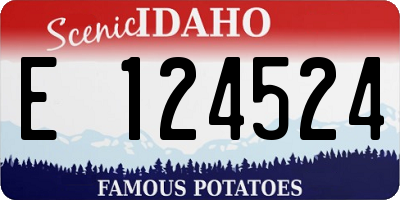 ID license plate E124524